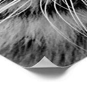 ホワイトタイガー顔プリント ポスター (角)