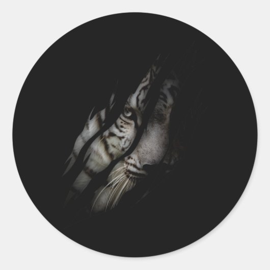 ホワイトタイガー顔引き裂かれたクローワイルドサファリアニマルキャット ラウンドシール (正面)