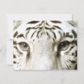 ホワイトタイガー風水招待状~ EZ2カスタマイズ 招待状 (正面)