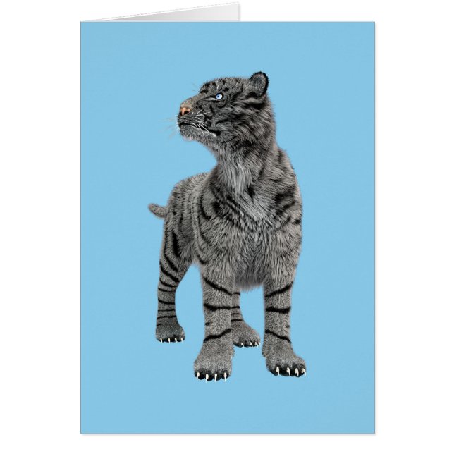 ホワイトタイガー (正面)