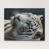 ホワイトタイガー ジグソーパズル (横)