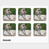 ホワイトタイガー、ベンガルタイガーステッカー スクエアシール (シート)