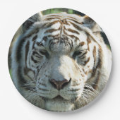 ホワイトタイガー ペーパープレート (正面)