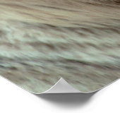 ホワイトタイガー ポスター (角)