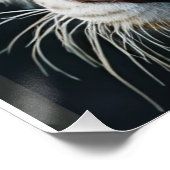 ホワイトタイガー ポスター (コーナー)