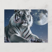 ホワイトタイガー ポストカード (裏面)