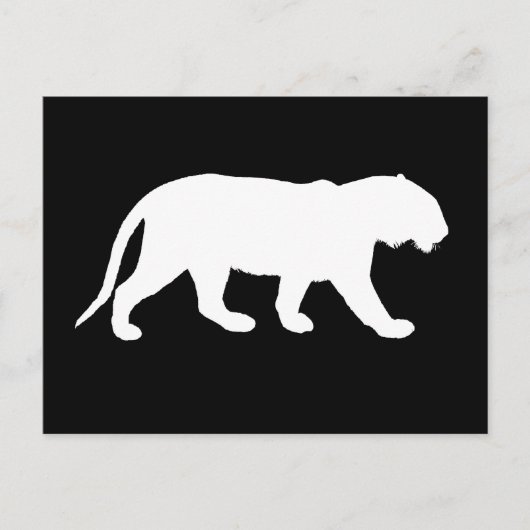 ホワイトタイガー ポストカード (正面)
