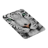 ホワイトタイガー マグネット (右側)