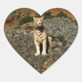 ホワイトタイガー・ルックアウト ハートシール (正面)