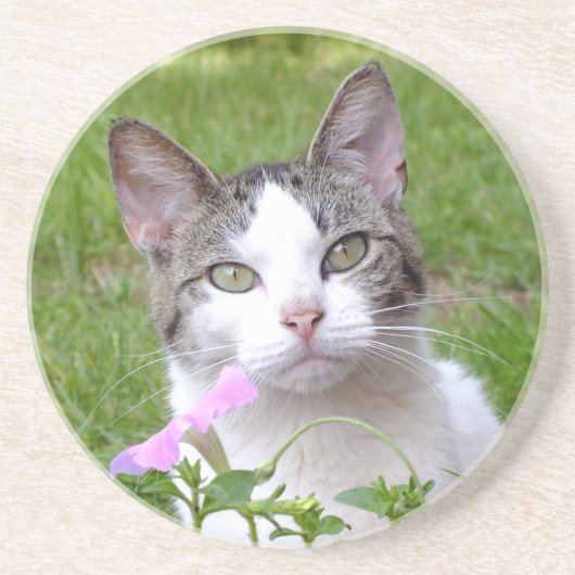 ホワイトタビーキャットとピンクペチュニア コースター (正面)