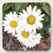 ホワイトダイズコースター コースター (正面)