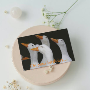ホワイトダックスおもしろい誕生日カード