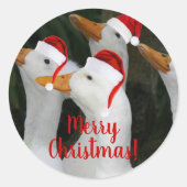 ホワイトダックス赤いサンタハッツホリデーを着て ラウンドシール (正面)