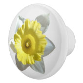 ホワイトダッフォディル  セラミックノブ (右)