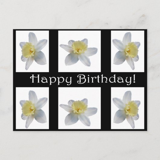 ホワイトダッフォディル ポストカード (正面)