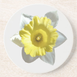 ホワイトダフォディルサンドストーンコースター コースター