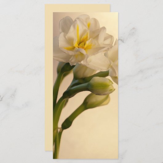 ホワイトダブルダフォジル春の結婚式プログラム プログラム (正面/裏面)