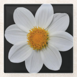 ホワイトダリアオンブラックフローラ ガラスコースター