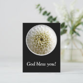 ホワイトダリアクローズアップ ポストカード (スタンド正面)