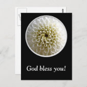 ホワイトダリアクローズアップ ポストカード (正面/裏面)