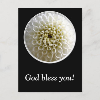 ホワイトダリアクローズアップ ポストカード