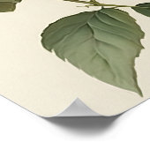 ホワイトダリアスフラワーアートプリントポスター ポスター (角)