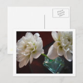 ホワイトダリアス ポストカード (正面/裏面)