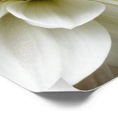 ホワイトダリアセピアダリアクローズアップフラワーテンプレート フォトプリント (角)