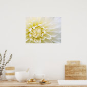 ホワイトダリア ポスター (キッチン)