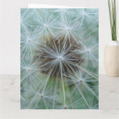 ホワイトダンデロン カード (裏面)