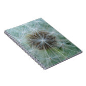 ホワイトダンデロン ノートブック (右側)