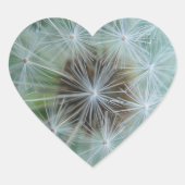 ホワイトダンデロン ハートシール (正面)