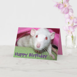 ホワイトダンボラット誕生日カード カード