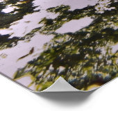 ホワイトチップリーフシャークパイル ポスター (角)