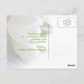 ホワイトチューリップありがとうはがき ポストカード (裏面)