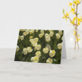 ホワイトチューリップズインザボストンガーデンズグリーティングカード カード (黄色い花)