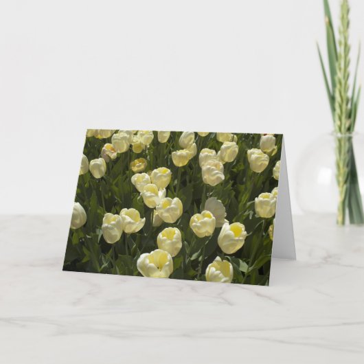 ホワイトチューリップズインザボストンガーデンズグリーティングカード カード (正面)
