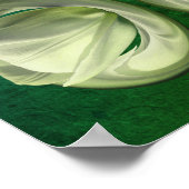 ホワイトチューリップフラワー花びら抽象芸術 ポスター (角)