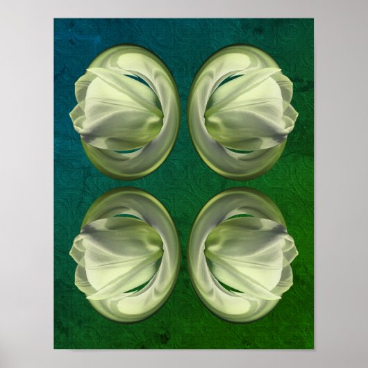 ホワイトチューリップフラワー花びら抽象芸術 ポスター (正面)