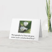 ホワイトチューリップ婚約 カード (裏面)