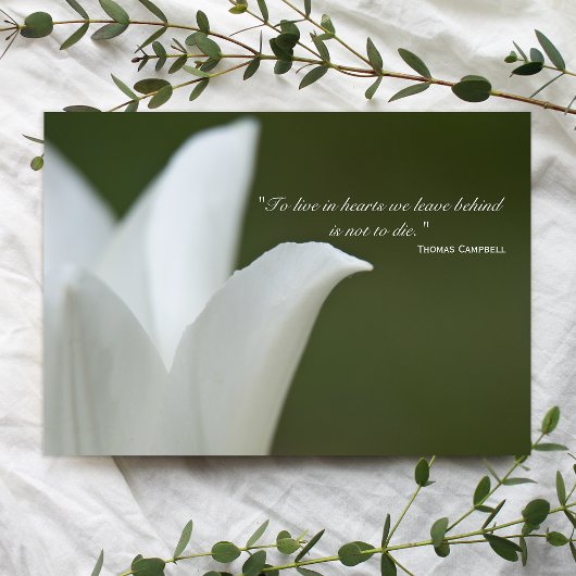 ホワイトチューリップ悔やみや弔慰 サンキューカード