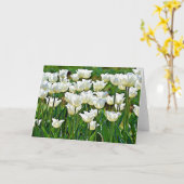 ホワイトチューリップ聖なる書物、 経典カードジョン1:16 カード (黄色い花)