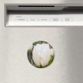 ホワイトチューリップ マグネット (インサイチュ (食洗機))