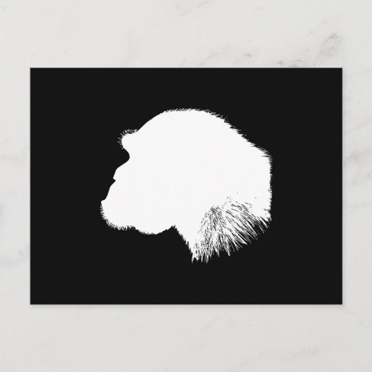 ホワイトチンパンジーのプロフィール ポストカード (正面)