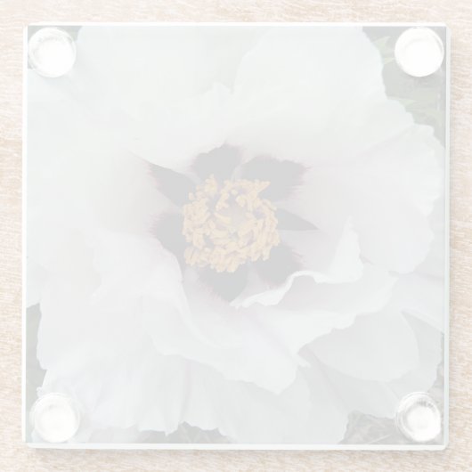 ホワイトツリー牡丹フローラ ガラスコースター (裏面)