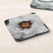 ホワイトツリー牡丹フローラ コースター (左側)