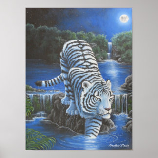 ホワイトティルガー ポスター