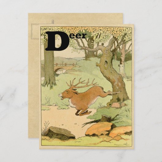 ホワイトテイルディアスタランニングッグの森の中 ポストカード (正面/裏面)