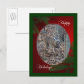 ホワイトテイル鹿 スパイクバック ハッピーホリデーシリーズ シーズンポストカード (正面/裏面)