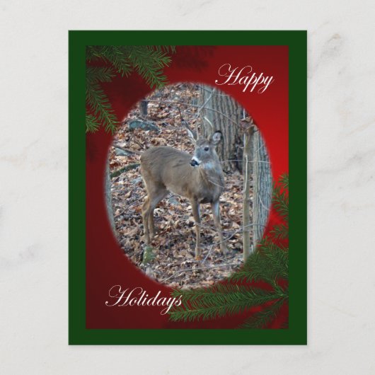 ホワイトテイル鹿 スパイクバック ハッピーホリデーシリーズ シーズンポストカード (正面)